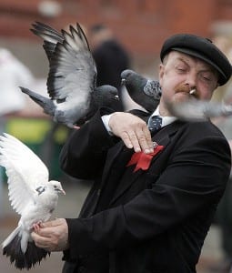 zombie-pigeon-apocalypse-moscow-2-510x600