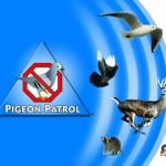 Pigeon Patrol