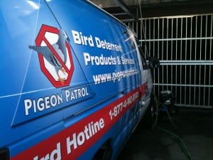 Pigeon Patrol, Pigeon Deterrent, bird control, pigeon control, bird repellent, bird proof, bird contrl, sound unit, netting bird, bird netting, spikes, pointy things, Ultra-Flex Bird Spikes, bird deterrent, bird spike, bird control, spikes, bird repellent spikes, bird deterrent spikes, steel bird spikes, bird netting, bird control, netting bird, bird repellent, pigeon control, bird proof, bird problems, bird proofing, bird repellers, bird control systems, anti bird, 1-877-4-no-bird, no bird, nobird, bird lazers, bird lasers bird lasers, sonic bird repellers, ultrasonic bird repellers, Get rid of pigeons, pigeon problems, pigeon control system, Keep Pigeons Off, Canada, USA, Manufacturer  bird control, Bird Control Products, bird deterrent, bird net, bird netting, bird removal, bird repellent, bird spike strips, bird spikes, birds off, building maintenance, Integrated Pest Supplies Ltd, Pest Control Products, New Westminster, BC,building maintenance birds, building maintenance tips, get rid of birds, how to get rid of birds, pigeon control, scare birds, stop bird, High frequencies, ultrasonic ,sonic , sound waves ,roof tops, ledges, balconies, buildings ,warehouses, bird sound deterrents, physical bird deterrents ,visual bird deterrents, disinfectant, Tubesonic, keep birds out, pest bird, how to get rid of bird, electric shock, bird deterrent system, keep birds away, pest bird problems, plastic bird spikes, scare birds, bird off get, suppliers of bird control, Integrated Pest Control, intergraded, intergratedpestsupplies,