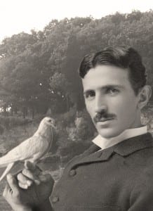 Tesla had a life-long love for pigeons