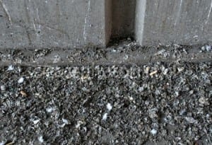 Pigeon droppings under railway bridge