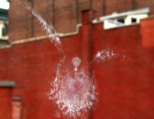 Bird Impressions In Glass