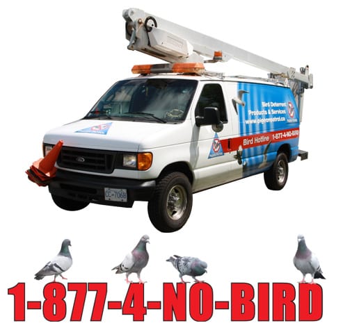 Pigeon Patrol Bird Control Mobile Unit Pigeon Patrol Bird Control Mobile Unit Services