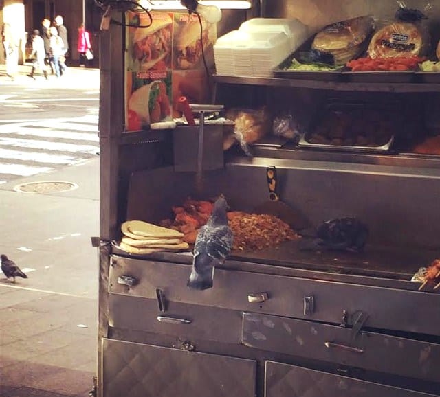 Pigeons Spotted Feasting On Times Square Street Meat Cart