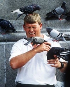 Jacksonville transient arrested after wing torn off live pigeon