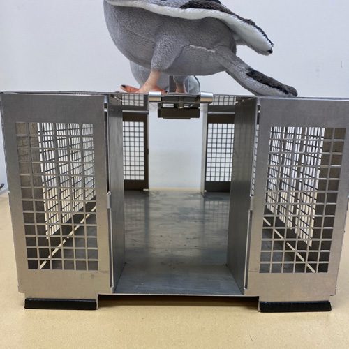 TRAPGALLIER piège Cage Capture Pigeons, pies 5 Compartiments Fabrication  Française : : Sports et Loisirs