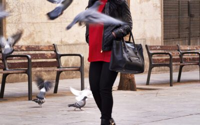 Why killing pigeons doesn’t work