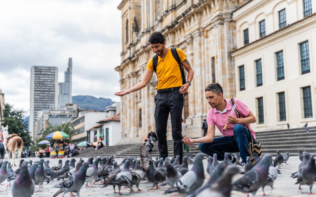 An animal sanctuary is asking people not to dye birds for use in gender reveal